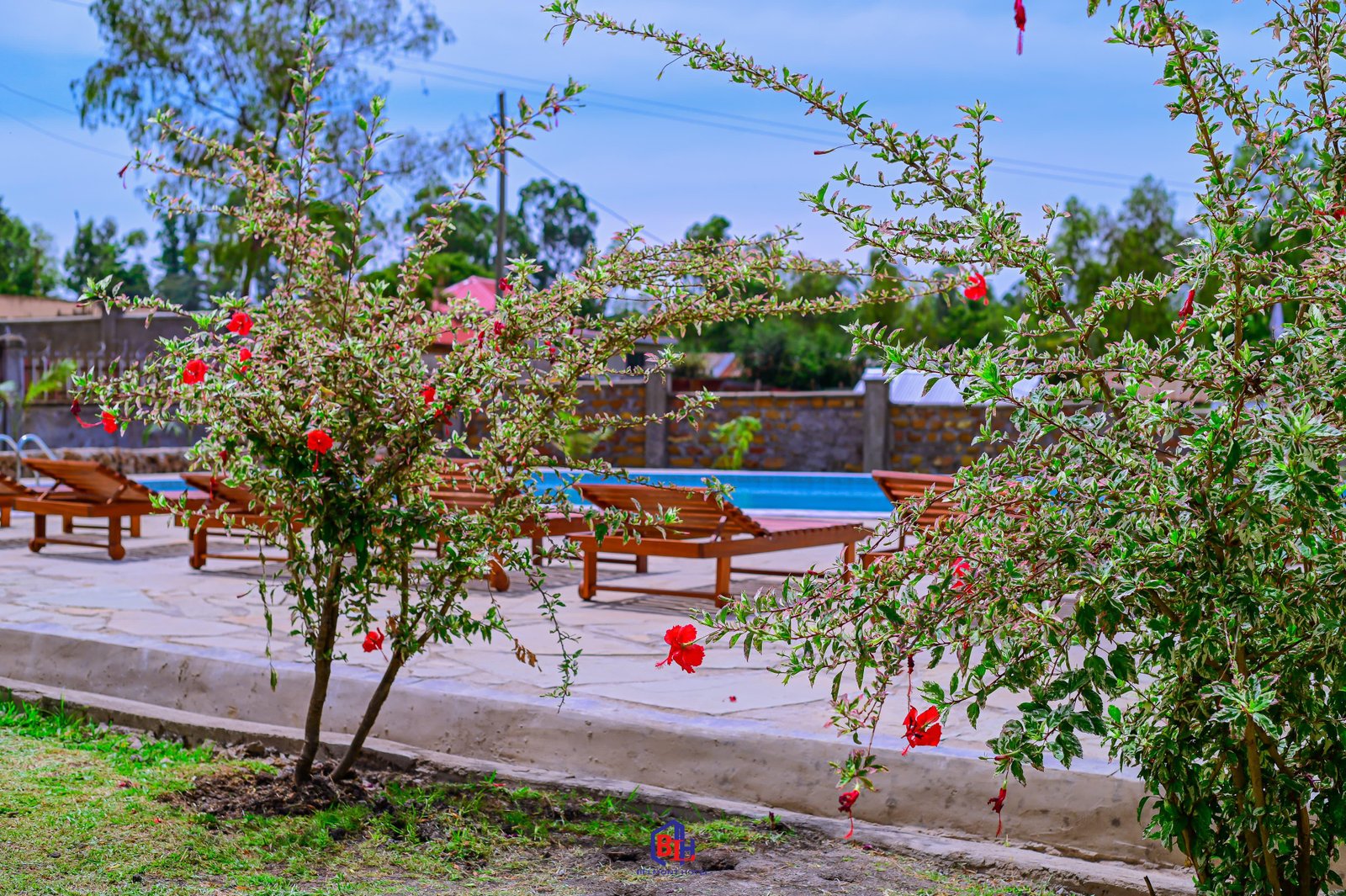 Belmont Hotel facility